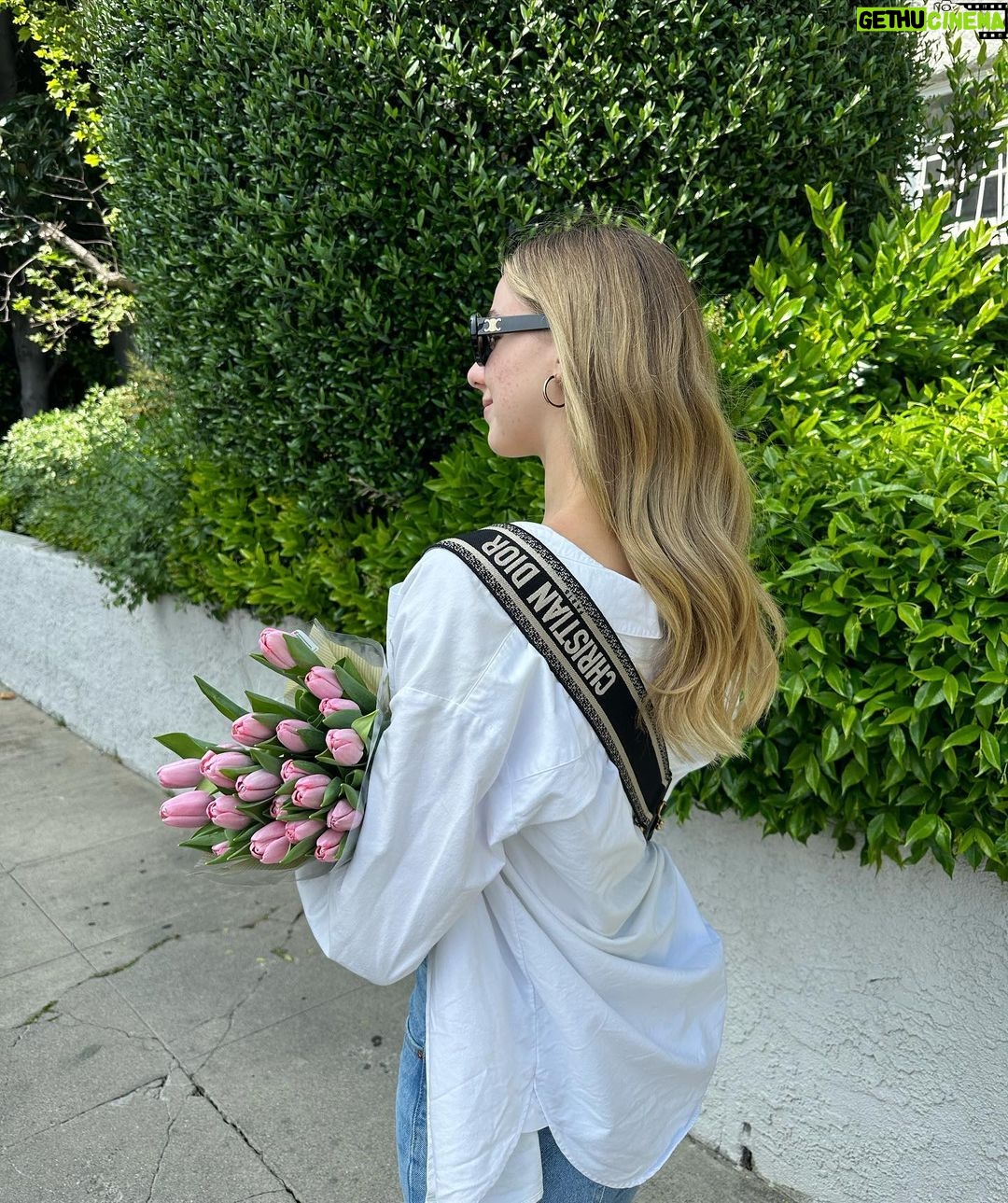 Chloe Lukasiak Instagram - I have been obsessed with tulips lately 🌷 What’s your favorite flower?