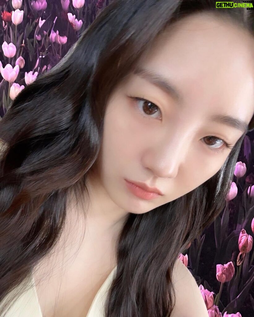 Cho Yi-hyun Instagram - 내가 찍은 꽃사진에 누끼이현 붙이기 🌷🙎‍♀️ 뭔가…이상해…그래서 마음에 들어!!!!🤎
