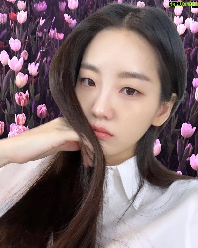 Cho Yi-hyun Instagram - 내가 찍은 꽃사진에 누끼이현 붙이기 🌷🙎‍♀️ 뭔가…이상해…그래서 마음에 들어!!!!🤎