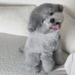 Choi Seung-hyun Instagram - 1,2