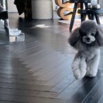 Choi Seung-hyun Instagram - 1,2