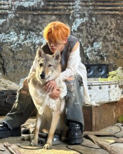 Choi Yeon-jun Instagram - two wolves