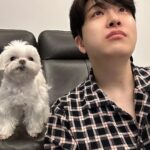 Choi Young-jae Instagram - 밥 먹을때 상추 안주면 화내는 강아지 @b_ftaq