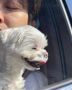 Choi Young-jae Instagram - 10장 꽉채우기📸
