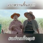 Chomchai Chatvilai Instagram - แม่นี่เบาหวานขึ้นตาเลยลูกสาวลูกเขยเค้าจู๋จี๋กัน อิอิ 🤣 #แก่นแก้ว #ช่อง3กด33