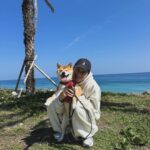 Chris Chiu Instagram – 準備開工了！🧨
迎接所有關於未知的ㄧ切！
願在新的一年所有事情都能好轉！

2/23首映會見❤️