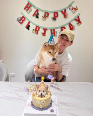 Chris Chiu Instagram - 祝我們生日快樂🎂

@momojiang1010 #1010 

#阿Mo兩歲