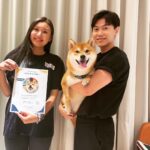 Chris Chiu Instagram – 恭喜我們的Momo醬順利畢業啦！

從幼犬時期開始上課到現在，感謝將近一年半的日子裡有@犬研室的陪伴，從剛開始大小便訓練、幼犬社會化黃金時期，到青少年後的響片思考、才藝訓練等，看到Momo醬越來越乖越穩定甚至是學會了動腦思考，內心真的滿是欣慰。

狗狗正向訓練，不只能讓狗狗身心健康成長、培養思考能力、情緒穩定不浮燥，也能讓主人擁有更輕鬆有效的方式陪伴狗狗。

良好的狗狗飼養觀念一直是犬研室教導給我的，讓我學習到許多正確觀念，來陪伴Momo醬的每一天，真的如之前所說過的「沒有教不會的狗狗，只有教不會的人！」

現在Momo醬已經是成熟穩定的乖狗狗了，除了我跟Momo醬的認真努力之外，也真心感謝犬研室團隊及小夜老師的協助，相信我們的未來會是非常融洽且快樂的❤️

@the_doggy_lab 
@hsieh_fraya 
@momojiang1010