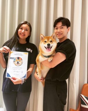 Chris Chiu Instagram - 恭喜我們的Momo醬順利畢業啦！

從幼犬時期開始上課到現在，感謝將近一年半的日子裡有@犬研室的陪伴，從剛開始大小便訓練、幼犬社會化黃金時期，到青少年後的響片思考、才藝訓練等，看到Momo醬越來越乖越穩定甚至是學會了動腦思考，內心真的滿是欣慰。

狗狗正向訓練，不只能讓狗狗身心健康成長、培養思考能力、情緒穩定不浮燥，也能讓主人擁有更輕鬆有效的方式陪伴狗狗。

良好的狗狗飼養觀念一直是犬研室教導給我的，讓我學習到許多正確觀念，來陪伴Momo醬的每一天，真的如之前所說過的「沒有教不會的狗狗，只有教不會的人！」

現在Momo醬已經是成熟穩定的乖狗狗了，除了我跟Momo醬的認真努力之外，也真心感謝犬研室團隊及小夜老師的協助，相信我們的未來會是非常融洽且快樂的❤️

@the_doggy_lab 
@hsieh_fraya 
@momojiang1010