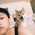 Chris Chiu Instagram - 中秋節快樂！ 她已經到了對人類食物， 充滿強烈侵略性的年紀⋯ 前幾天趁我不注意，直接咬起叉燒包 躲沙發底下。大力啃食⋯ @momojiang1010