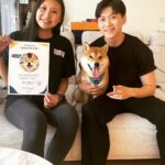 Chris Chiu Instagram – 恭喜我們的Momo醬順利畢業啦！

從幼犬時期開始上課到現在，感謝將近一年半的日子裡有@犬研室的陪伴，從剛開始大小便訓練、幼犬社會化黃金時期，到青少年後的響片思考、才藝訓練等，看到Momo醬越來越乖越穩定甚至是學會了動腦思考，內心真的滿是欣慰。

狗狗正向訓練，不只能讓狗狗身心健康成長、培養思考能力、情緒穩定不浮燥，也能讓主人擁有更輕鬆有效的方式陪伴狗狗。

良好的狗狗飼養觀念一直是犬研室教導給我的，讓我學習到許多正確觀念，來陪伴Momo醬的每一天，真的如之前所說過的「沒有教不會的狗狗，只有教不會的人！」

現在Momo醬已經是成熟穩定的乖狗狗了，除了我跟Momo醬的認真努力之外，也真心感謝犬研室團隊及小夜老師的協助，相信我們的未來會是非常融洽且快樂的❤️

@the_doggy_lab 
@hsieh_fraya 
@momojiang1010