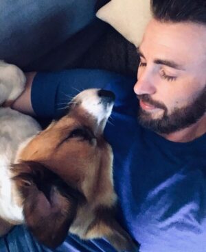 Chris Evans Instagram - Surgery day! Just dropped him off. Picking him up tomorrow morning. 😬😬😬😬

If today is any indication, I’m going to be a VERY nervous parent. 😂