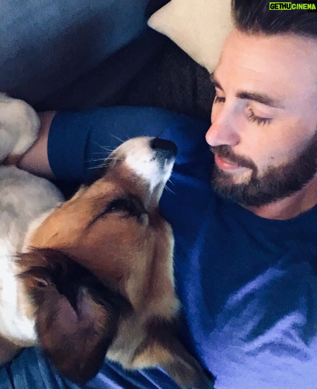 Chris Evans - 2.1 Million Likes - Surgery day! Just dropped him off. Picking him up tomorrow morning. 😬😬😬😬
If today is any indication, I’m going to be a VERY nervous parent. 😂