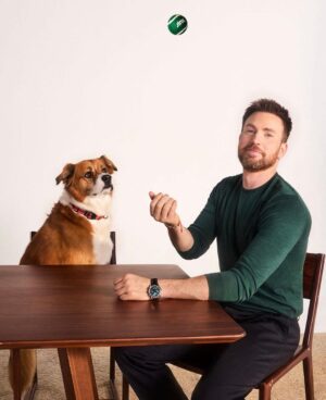 Chris Evans Instagram - The limited-edition Jinx Dream Box(starring Dodger!) is available in @walmart stores across the nation today!  Post a pic of your box with your dog! 

#jinxpartner