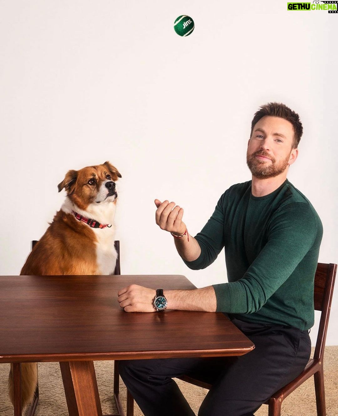 Chris Evans - 1.1 Million Likes - The limited-edition Jinx Dream Box(starring Dodger!) is available in @walmart stores across the nation today! Post a pic of your box with your dog!
#jinxpartner