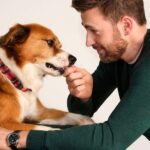 Chris Evans Instagram - The limited-edition Jinx Dream Box(starring Dodger!) is available in @walmart stores across the nation today!  Post a pic of your box with your dog! #jinxpartner