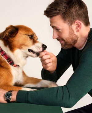Chris Evans Instagram - The limited-edition Jinx Dream Box(starring Dodger!) is available in @walmart stores across the nation today!  Post a pic of your box with your dog! 

#jinxpartner