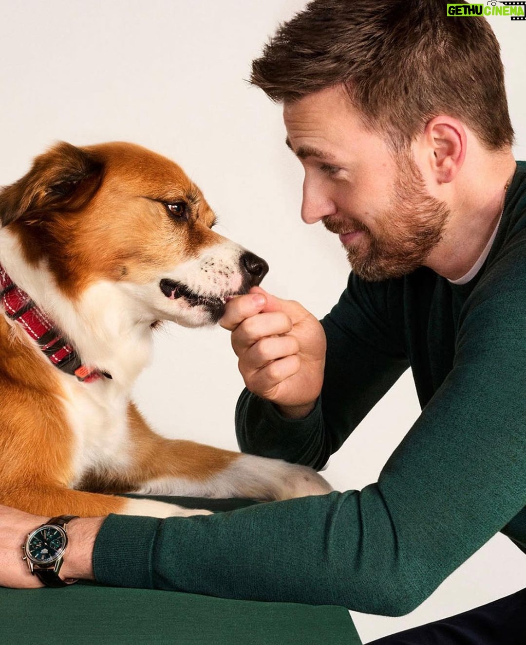 Chris Evans - 1.1 Million Likes - The limited-edition Jinx Dream Box(starring Dodger!) is available in @walmart stores across the nation today! Post a pic of your box with your dog!
#jinxpartner