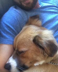 Chris Evans Instagram - In my house, every day is #internationaldogday #thinkjinx #partneredwithjinx