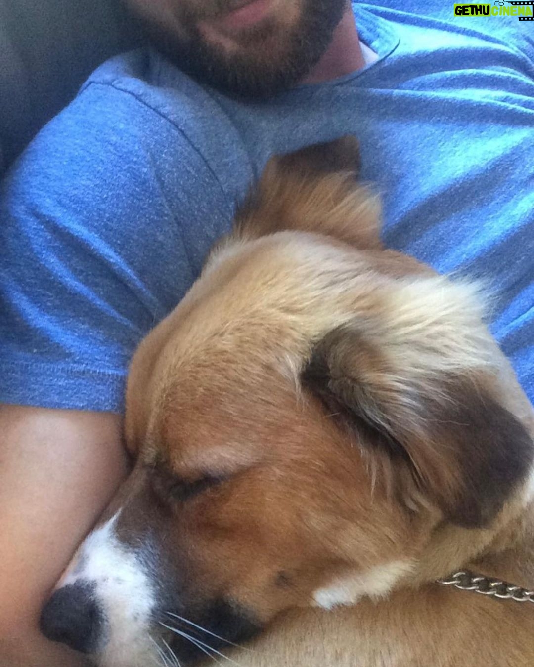 Chris Evans - 3.8 Million Likes - In my house, every day is #internationaldogday
#thinkjinx
#partneredwithjinx