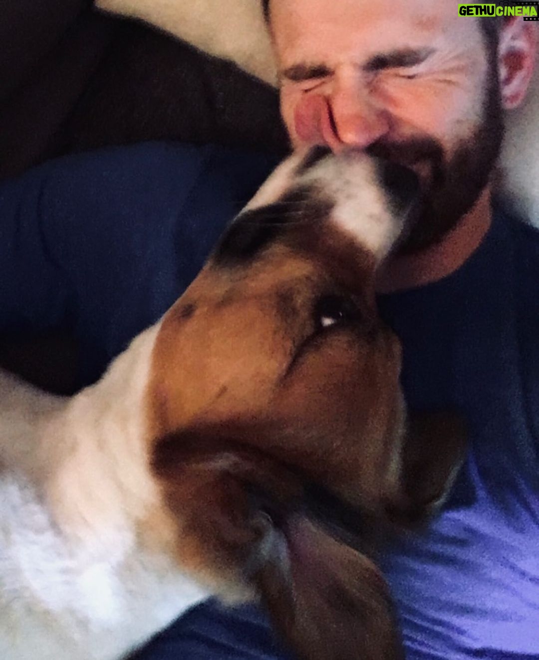 Chris Evans - 2.1 Million Likes - Surgery day! Just dropped him off. Picking him up tomorrow morning. 😬😬😬😬
If today is any indication, I’m going to be a VERY nervous parent. 😂