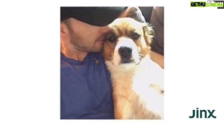 Chris Evans Instagram - Winning the dog lottery 💙 #partneredwithjinx @thinkjinx @walmart