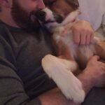 Chris Evans Instagram - In my house, every day is #internationaldogday #thinkjinx #partneredwithjinx