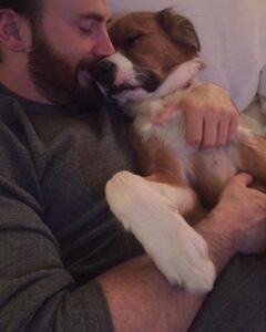 Chris Evans Instagram - In my house, every day is #internationaldogday #thinkjinx #partneredwithjinx