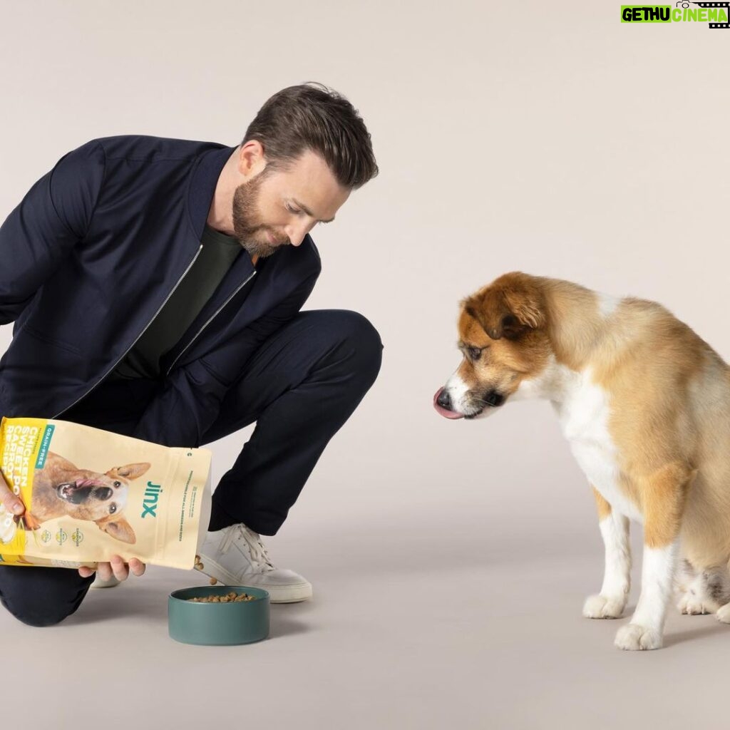 Chris Evans Instagram - The best dog food for the best dog around! Excited to join Jinx in redefining dog nutrition with better, healthier food for dogs. This is just the beginning. @thinkjinx #partneredwithjinx