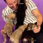 Chris Evans Instagram - Just a peek…
