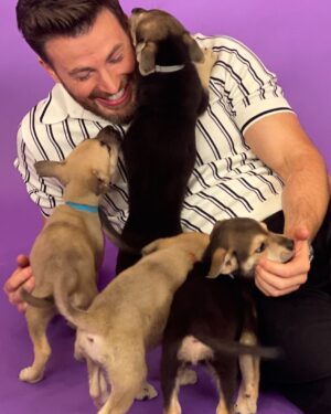 Chris Evans Instagram - Just a peek…