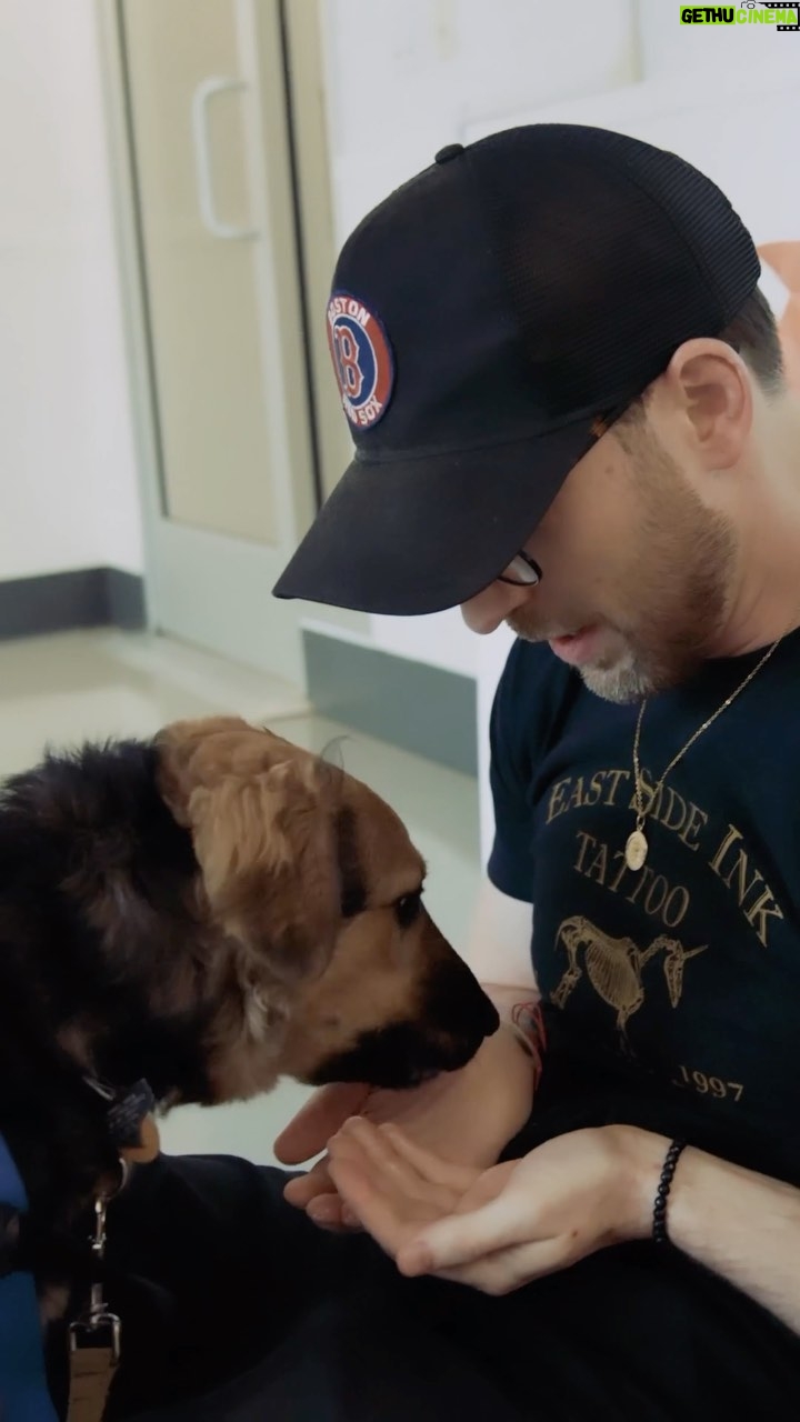 Chris Evans - 1.4 Million Likes - Hi everyone! I’m back :)
I’m thankful for a LOT of things this year, but dogs are always high on the list. So glad to hear that these dogs got adopted, and that we were able to set them up with a year’s worth of @thinkjinx food and treats.
Happy thanksgiving everyone!