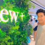 Chris Lai Instagram - 全新概念餐廳KEW+ 禮拜二正式進駐尖沙咀海港城! 餐廳佔地超過7000平方呎，內部裝修以四季花卉景色為主，讓客人陶醉於四季花園之中 菜單融合了中西日三地烹調精粹，你想食的KEW+都滿足到你！ #KewPlus #KewPlusHK #GaiaGroup #GaiaGroupHK #LokyiLai #GaiaPremier #HarbourCity #海港城 快啲嚟試下我嘅最新餐廳啦～