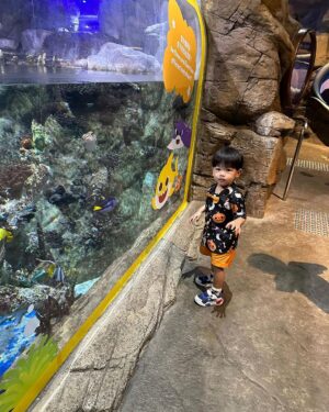 Chris Lai Instagram - 好多人都話冇見過小冬牛
小冬牛就快2歲啦
 @hkoceanpark 

#oceanparkhongkong 
#小冬牛