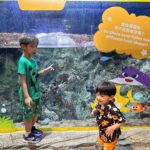 Chris Lai Instagram – 好多人都話冇見過小冬牛
小冬牛就快2歲啦
 @hkoceanpark 

#oceanparkhongkong 
#小冬牛