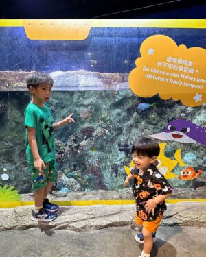 Chris Lai Instagram - 好多人都話冇見過小冬牛
小冬牛就快2歲啦
 @hkoceanpark 

#oceanparkhongkong 
#小冬牛