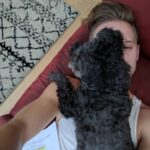 Chris Lamica Instagram - No better way to prepare for an audition than with the BEST scene partner EVER! #audition #auditionprep #poodle #rescuedog #actorlife #puppy #actorslife #zionthemagnificient #lasttimehedidthisibooked #Lucifer #spiritanimal #dog #doglover #adoptdontshop @bestfriendsanimalsociety @wagsandwalks