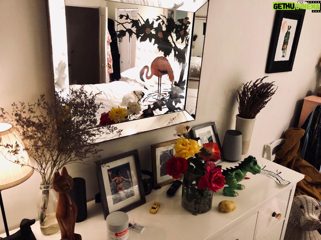 Chris O'Dowd - 3K Likes - There are 10 creatures in this photo. Can you spot them all? #CanYouThough