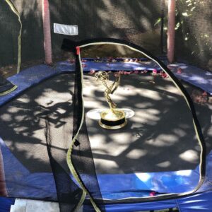 Chris O'Dowd Instagram - Hadn’t seen her all week, and where was she? On the feckin trampoline! #EmmyDoesThings