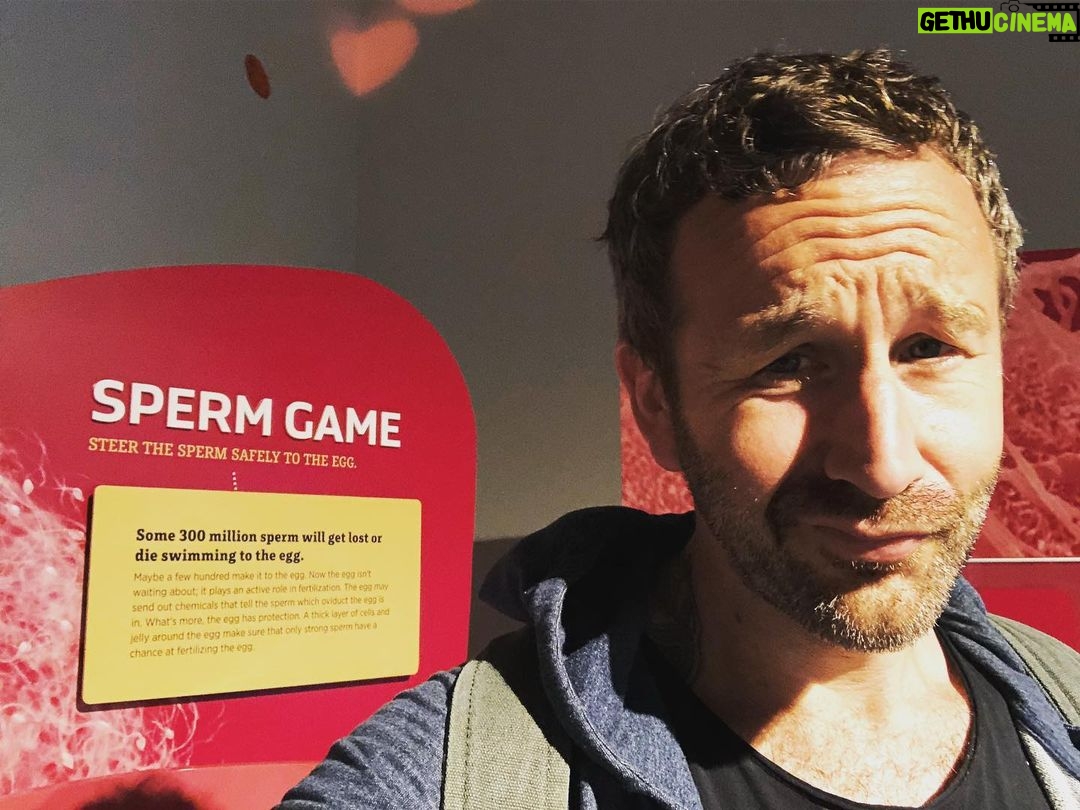 Chris O'Dowd - 9.6K Likes - Heeeey Gurl, you know I got good...