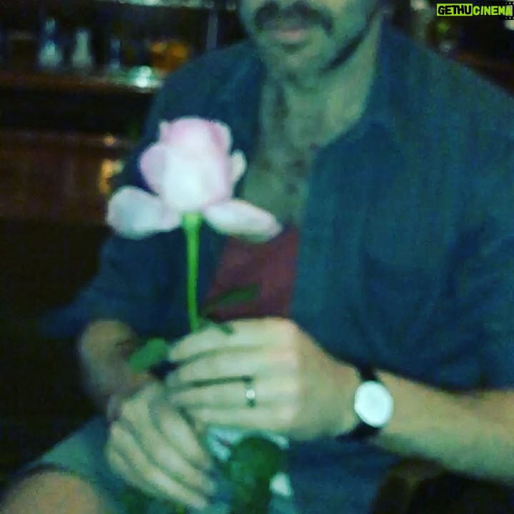Chris O'Dowd - 8.6K Likes - People - Paddy’s Day is just a mindless booze fest devoid of decent cuisine or even the faintest whiff of romance!
Me (last night) -
