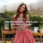 Chrissy Teigen Instagram - We did a little bit of everything during our visit to the gorgeous @wonderfulseedlesslemons orchards - our friends and partners planned a special day filled with lots of lemon picking, beautiful views, refreshing mocktails, scrumptious food… and no seeds! 🍋Picked some seedless lemons and experienced their absolute perfection - juicy, zesty, naturally seedless and non-GMO. 🍃 Learned how Seedless Lemon trees are grown through a process called budding – the hands-on demo was so cool! 🍽️ Had a delish lemon inspired lunch featuring Cravings recipes. 🌳Icing on top to an absolutely picture-perfect day? Luna planted her very own seedless lemon tree, it’s a beauty. We can’t wait to see Luna Jr. grow throughout the years! #wonderfulseedlesslemonspartner