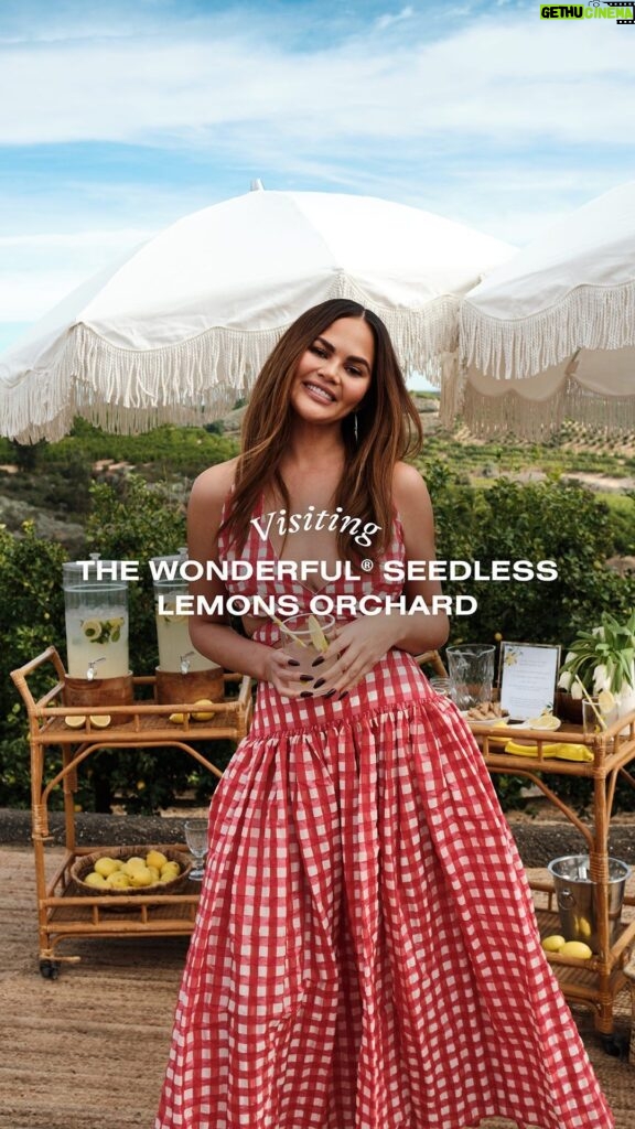 Chrissy Teigen Instagram - We did a little bit of everything during our visit to the gorgeous @wonderfulseedlesslemons orchards - our friends and partners planned a special day filled with lots of lemon picking, beautiful views, refreshing mocktails, scrumptious food… and no seeds! 🍋Picked some seedless lemons and experienced their absolute perfection - juicy, zesty, naturally seedless and non-GMO. 🍃 Learned how Seedless Lemon trees are grown through a process called budding – the hands-on demo was so cool! 🍽️ Had a delish lemon inspired lunch featuring Cravings recipes. 🌳Icing on top to an absolutely picture-perfect day? Luna planted her very own seedless lemon tree, it’s a beauty. We can’t wait to see Luna Jr. grow throughout the years! #wonderfulseedlesslemonspartner