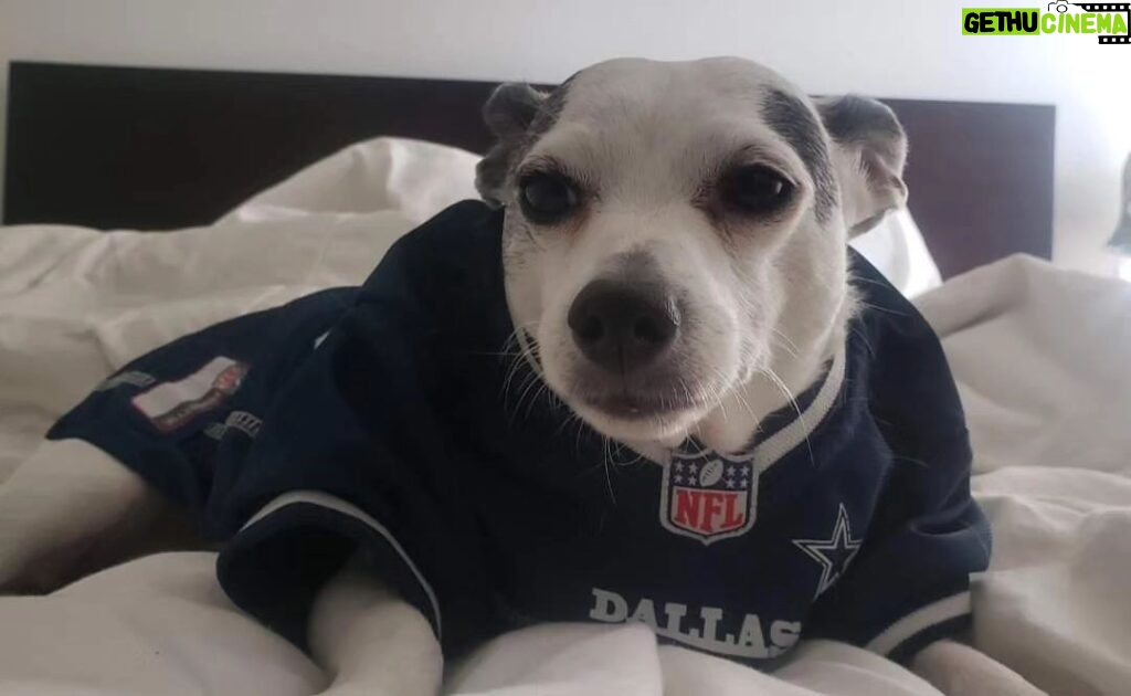 Christine Nguyen Instagram - It's depressing, I get it. She'll learn. 🤣 #Cowboys - 0 Playoffs - I've stopped counting 😭