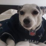 Christine Nguyen Instagram - It's depressing, I get it. She'll learn. 🤣 #Cowboys - 0 Playoffs - I've stopped counting 😭