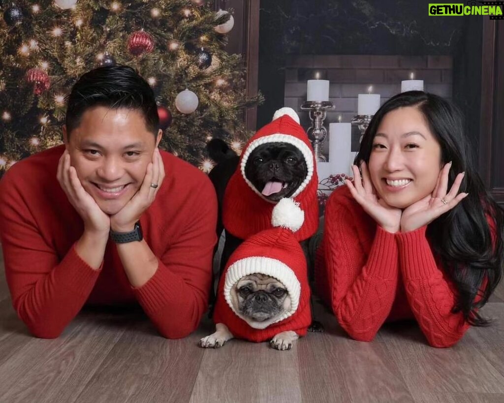 Christine Nguyen Instagram - Beyond precious! Robert, Mochi (top), Dumpling (bottom) and Yan. Look at those smiles! ❤️ #family #Houston
