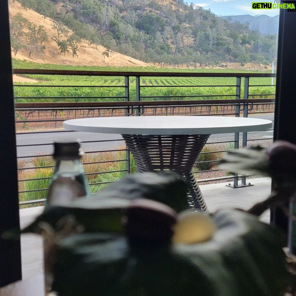 Christine Nguyen Instagram - Only two years old, #FourSeasons #NapaValley is just breathtaking. Love waking up to a view of the vineyards. 🌅🍇