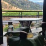 Christine Nguyen Instagram - Only two years old, #FourSeasons #NapaValley is just breathtaking. Love waking up to a view of the vineyards. 🌅🍇