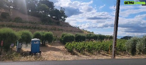 Christine Nguyen Instagram - Miles upon miles of old vines and new vines. Just love it here! Hello #Napa! 🍇🍷🍇 #SilveradoTrail
