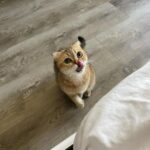 Cláudia Alende Instagram -